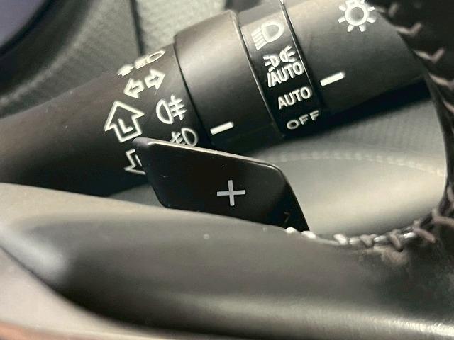 SUBARU FORESTER ADVANCE