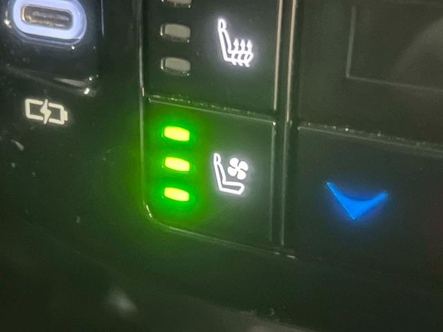 RX RX500h Fスポーツパフォーマンス サンルーフ/14型ナビ/全周囲/デジタルミラー/ブラインドスポット/パワーシート/シートメモリ/シートエアコン/衝突軽減/レーンアシスト/レーダークルーズ/ステアリングヒーター/21インチアルミ(54枚目)