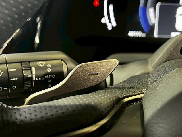 RX RX500h Fスポーツパフォーマンス サンルーフ/14型ナビ/全周囲/デジタルミラー/ブラインドスポット/パワーシート/シートメモリ/シートエアコン/衝突軽減/レーンアシスト/レーダークルーズ/ステアリングヒーター/21インチアルミ(73枚目)