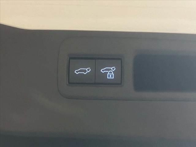 【電動リアゲート】ボタンひとつで大きなゲートも簡単に開閉可能です。