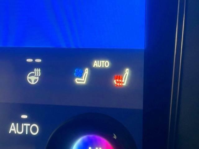 アルファードハイブリッド Executive Lounge JBL/後席モニター/両側電動/BSM/ETC/14インチナビ/全周囲/パワーシート/シートメモリ/ムーンルーフ/デジタルミラー/ベンチレーション/AC100V/衝突軽減/レーンアシスト/ETC(15枚目)