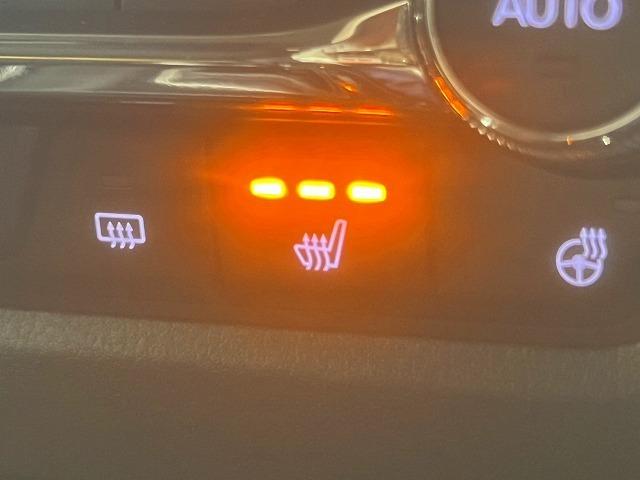 CX-30 20S プロアクティブ ツーリングセレクション 全周囲/パワーバックドア/シートヒーター/Bluetooth接続/ナビTV/ブラインドスポット/ハンドルヒーター/CD/DVD再生/パワーシート/シートメモリ/LEDライト/18インチアルミ/ETC(41枚目)