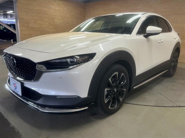 CX-30 20S プロアクティブ ツーリングセレクション 全周囲/パワーバックドア/シートヒーター/Bluetooth接続/ナビTV/ブラインドスポット/ハンドルヒーター/CD/DVD再生/パワーシート/シートメモリ/LEDライト/18インチアルミ/ETC(63枚目)