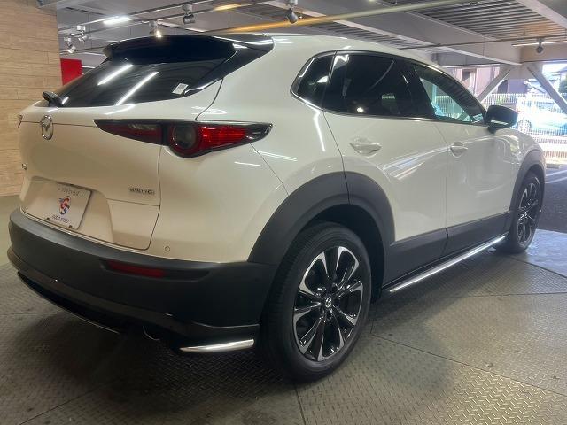 CX-30 20S プロアクティブ ツーリングセレクション 全周囲/パワーバックドア/シートヒーター/Bluetooth接続/ナビTV/ブラインドスポット/ハンドルヒーター/CD/DVD再生/パワーシート/シートメモリ/LEDライト/18インチアルミ/ETC(67枚目)