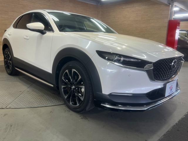 CX-30 20S プロアクティブ ツーリングセレクション 全周囲/パワーバックドア/シートヒーター/Bluetooth接続/ナビTV/ブラインドスポット/ハンドルヒーター/CD/DVD再生/パワーシート/シートメモリ/LEDライト/18インチアルミ/ETC(69枚目)