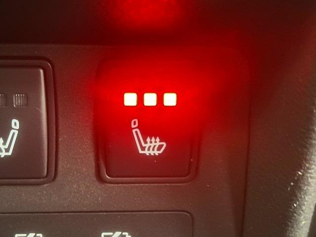 エクストレイル Ｇ　ｅ－４ＯＲＣＥ　ワンオーナー／４ＷＤ／全周囲／プロパイロット／ＥＴＣ／シートヒーター／ナビＴＶ／デジタルミラー／自動駐車システム／電動リアゲート／パワーシート／オートホールド／ブラインドスポット／１９インチアルミ（31枚目）