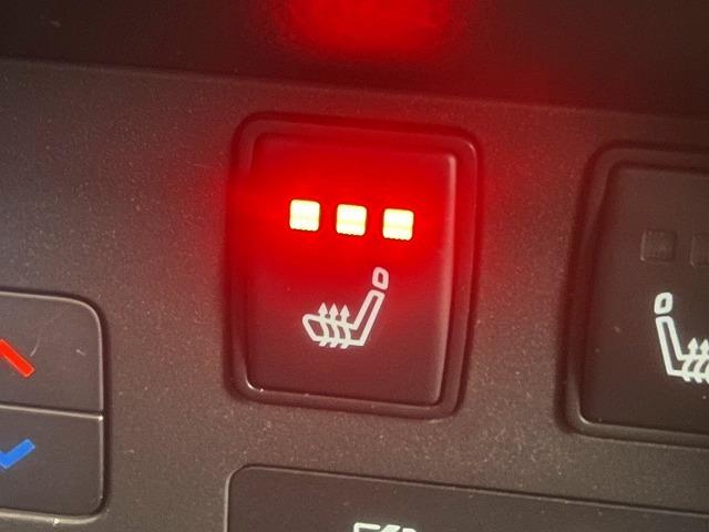 エクストレイル Ｇ　ｅ－４ＯＲＣＥ　ワンオーナー／４ＷＤ／全周囲／プロパイロット／ＥＴＣ／シートヒーター／ナビＴＶ／デジタルミラー／自動駐車システム／電動リアゲート／パワーシート／オートホールド／ブラインドスポット／１９インチアルミ（32枚目）