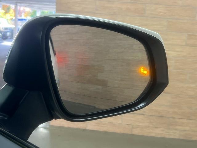 アルファード 2.5S タイプゴールド サンルーフ/モデリスタエアロ/フリップダウンモニター/デジタルミラー/BSM/AC100V/DVDデッキ/両側電動スライドドア/ディスプレイオーディオ/ナビTV/レーダークルーズ/ETC/バックカメラ(74枚目)