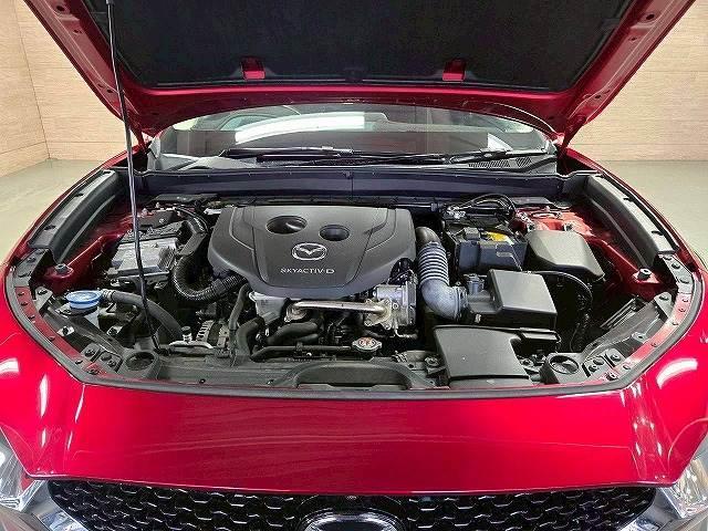 �e��I�[�g���[�������p�ӂ��Ă���܂��B�����O�~����R���\�B�P�Q�񂩂�P�Q�O��܂Ŏx���񐔂����I�ђ����܂���