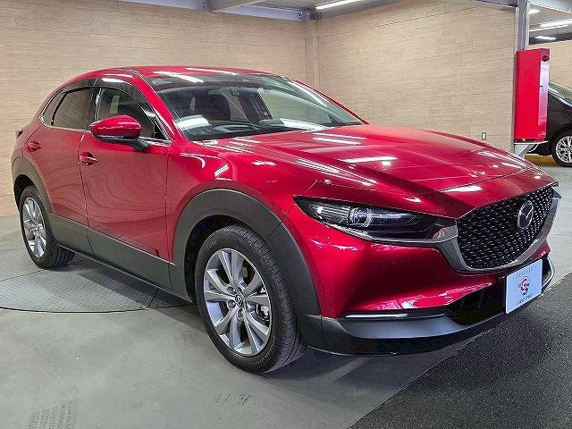 �����X�s�v�̃����[�g���k�������Ă܂����@����L�����y�[�����{���ڂ����͂O�T�U�W�|�W�S�|�S�O�X�Q�܂�