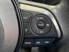 �ڥ��롼������ȥ������������ξ�ˤʤ�ޤ������Υ�ɥ饤�֤ι�®ƻϩ�ʤɤǤ����������ϫ�ڸ�����Ω���ޤ��� 5