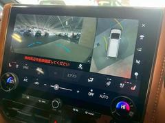 �������ϥ�˥����ۤ��������Ƥ���ޤ����ꥢ�α��������顼�ǱǤ��Ф���ޤ��Τ���������֤�¿������Ǥ��� 4