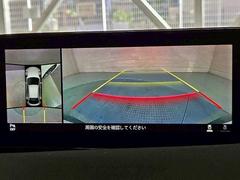 ϥ˥ۤƤޤꥢα顼ǱǤФޤΤ֤¿Ǥ 4