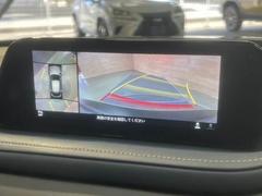 ϥ˥ۤƤޤꥢα顼ǱǤФޤΤ֤¿Ǥ 4