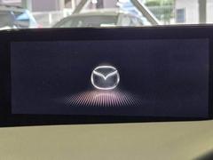 �ʥӡ��ե륻���������ϥ���顡�£����������衡�ģ֣ġ��ãġ����� 3