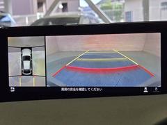 �������ϥ�˥����ۤ��������Ƥ���ޤ����ꥢ�α��������顼�ǱǤ��Ф���ޤ��Τ���������֤�¿������Ǥ��� 4