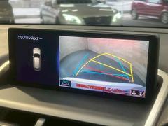 �ڥ��顼�Хå���˥����ۤ��������Ƥ���ޤ����ꥢ�α��������顼�ǱǤ��Ф���ޤ��Τ���������֤�¿������Ǥ��� 4