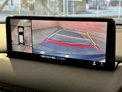 �������ϥ�˥����ۤ��������Ƥ���ޤ����ꥢ�α��������顼�ǱǤ��Ф���ޤ��Τ���������֤�¿������Ǥ��� 4