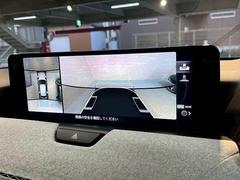 �������ϥ�˥����ۤ��������Ƥ���ޤ����ꥢ�α��������顼�ǱǤ��Ф���ޤ��Τ���������֤�¿������Ǥ��� 4