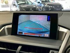 �ڥ��顼�Хå���˥����ۤ��������Ƥ���ޤ����ꥢ�α��������顼�ǱǤ��Ф���ޤ��Τ���������֤�¿������Ǥ��� 4