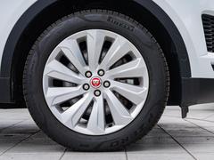 ݡߥۥ塪ƥꥢǥȤɤåʥǥɸͥߥۡ롣 3