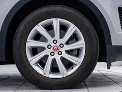 ݡߥۥ塪ƥꥢǥȤɤåʥǥɸͥߥۡ롣 3