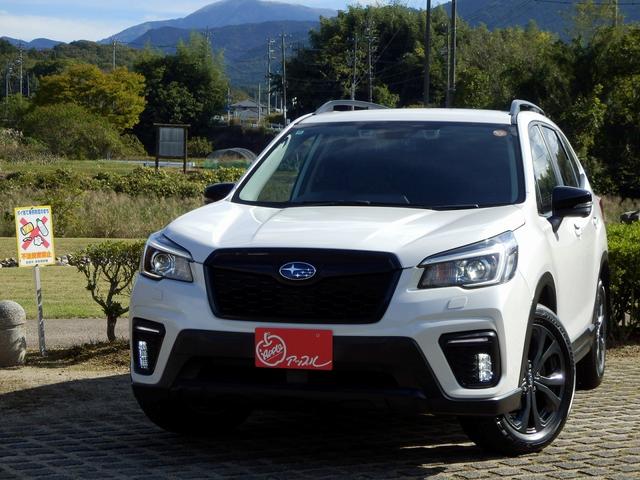 フォレスター Ｘ－エディション　１年保証付／４ＷＤ／アイサイト３／前車追従レーダークルーズコントロール／レーンキープアシスト／純正ナビ／フルセグＴＶ／マルチビューカメラ／全席シートヒーター／デジタルインナーミラー／ＢＳＭ／ＳＲＨ（12枚目）