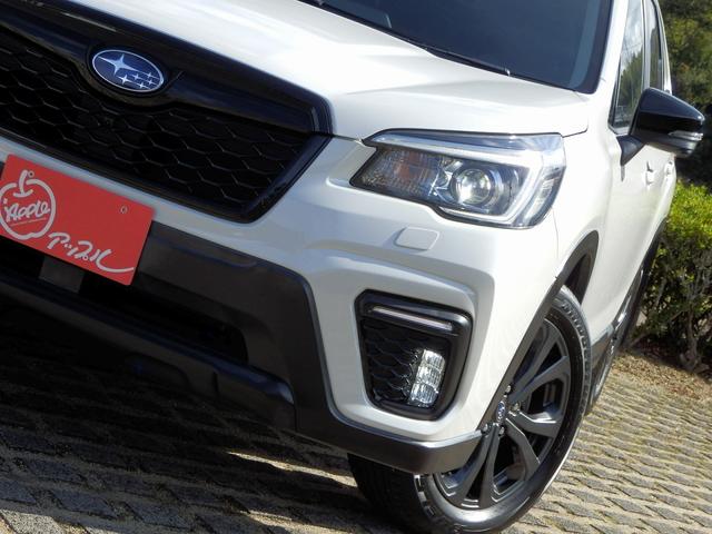 フォレスター Ｘ－エディション　１年保証付／４ＷＤ／アイサイト３／前車追従レーダークルーズコントロール／レーンキープアシスト／純正ナビ／フルセグＴＶ／マルチビューカメラ／全席シートヒーター／デジタルインナーミラー／ＢＳＭ／ＳＲＨ（13枚目）