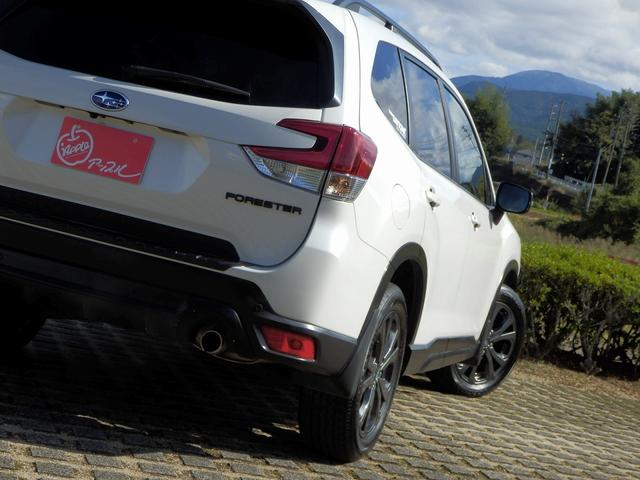 フォレスター Ｘ－エディション　１年保証付／４ＷＤ／アイサイト３／前車追従レーダークルーズコントロール／レーンキープアシスト／純正ナビ／フルセグＴＶ／マルチビューカメラ／全席シートヒーター／デジタルインナーミラー／ＢＳＭ／ＳＲＨ（25枚目）