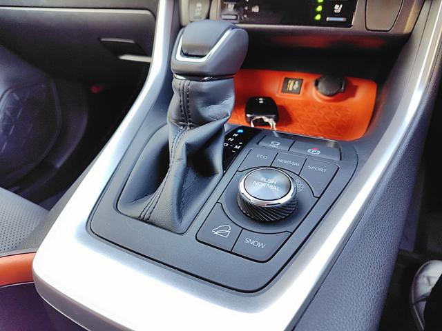 RAV4 アドベンチャー 4WD 全周囲カメラ クリアランスソナー オートクルーズコントロール レーンアシスト パワーシート 衝突被害軽減システム ナビ TV オートマチックハイビーム オートライト LEDヘッドランプ(7枚目)