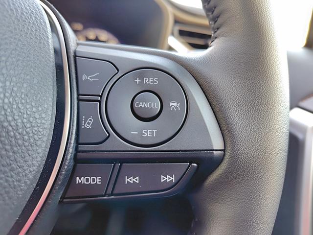 RAV4 アドベンチャー 4WD 全周囲カメラ クリアランスソナー オートクルーズコントロール レーンアシスト パワーシート 衝突被害軽減システム ナビ TV オートマチックハイビーム オートライト LEDヘッドランプ(41枚目)