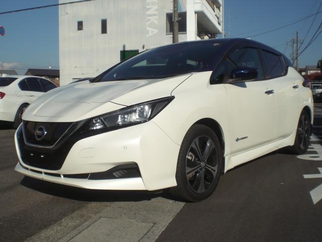 リーフ X 10万台記念車 プロパイロット Bluetoothオーディオ バックカメラ(2枚目)