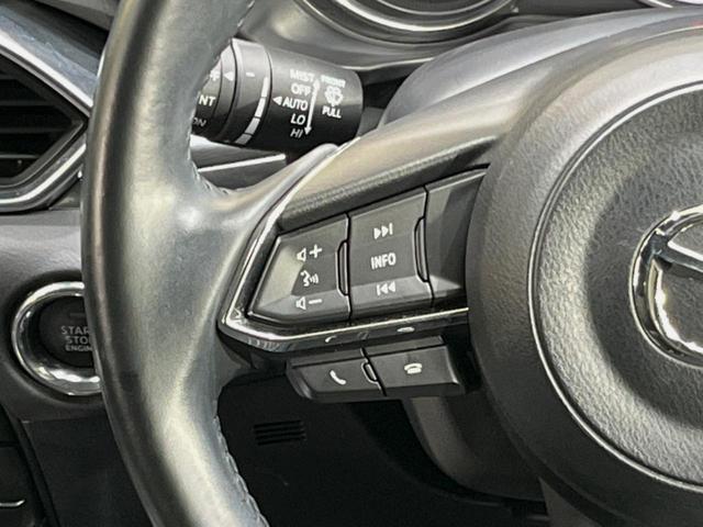 ＣＸ－８ ２５Ｓ　プロアクティブ　マツダコネクトナビ　禁煙車　衝突軽減　ＢＯＳＥサウンド　レーダークルーズ　Ｂｌｕｅｔｏｏｔｈ　ＥＴＣ　バックカメラ　パワーシート　シートヒーター　ＬＥＤヘッドライト　純正１９インチアルミ　スマートキー（40枚目）