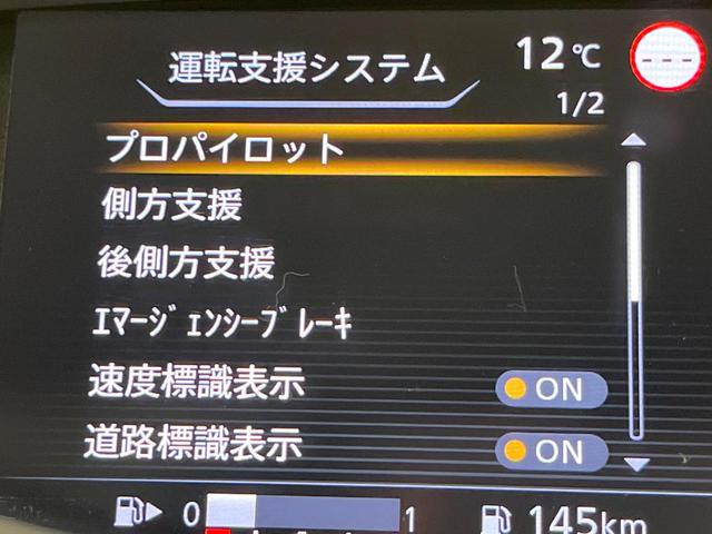 セレナ ハイウェイスターV BIG-X11型ナビ 後席モニター 両側電動スライド プロパイロット デジタルミラー 衝突軽減装置 LEDヘッド Bluetooth フルセグTV ETC ドラレコ ブラインドスポットモニター(28枚目)