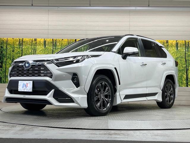 RAV4 ハイブリッドG 純正ディスプレイオーディオ ガラスルーフ フルエアロ バックカメラ レーダークルーズ 禁煙車 電動リアゲート ハーフレザーシート 前席シートエアコン パワーシート ドラレコ コーナーセンサー(16枚目)