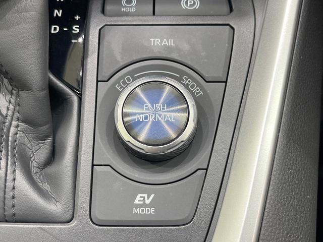 RAV4 ハイブリッドG 純正ディスプレイオーディオ ガラスルーフ フルエアロ バックカメラ レーダークルーズ 禁煙車 電動リアゲート ハーフレザーシート 前席シートエアコン パワーシート ドラレコ コーナーセンサー(51枚目)