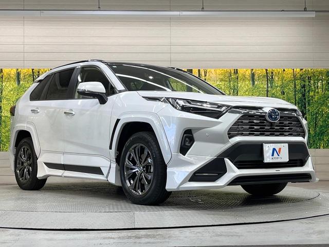 RAV4 ハイブリッドG 純正ディスプレイオーディオ ガラスルーフ フルエアロ バックカメラ レーダークルーズ 禁煙車 電動リアゲート ハーフレザーシート 前席シートエアコン パワーシート ドラレコ コーナーセンサー(67枚目)