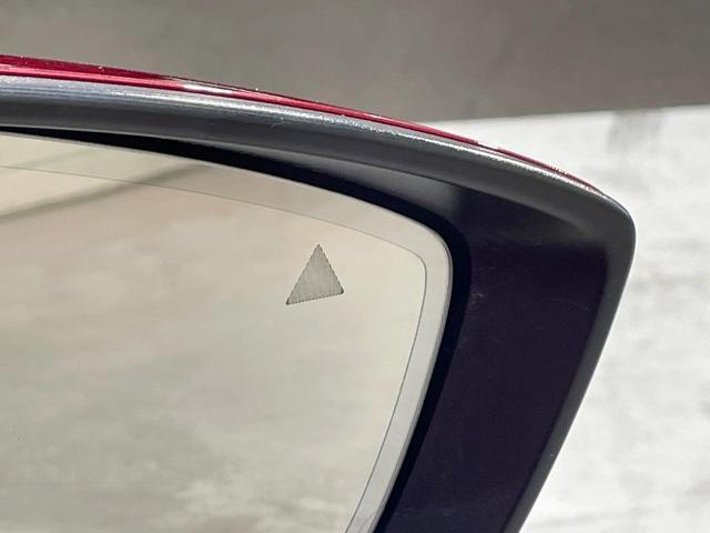 CX-30 20S プロアクティブ ツーリングセレクション MT車 純正ナビ 全周囲カメラ BOSEサウンド レーダークルーズ 禁煙車 電動リアゲート パワーシート コーナーセンサー スマートキー LEDヘッド ETC オートハイビーム(34枚目)