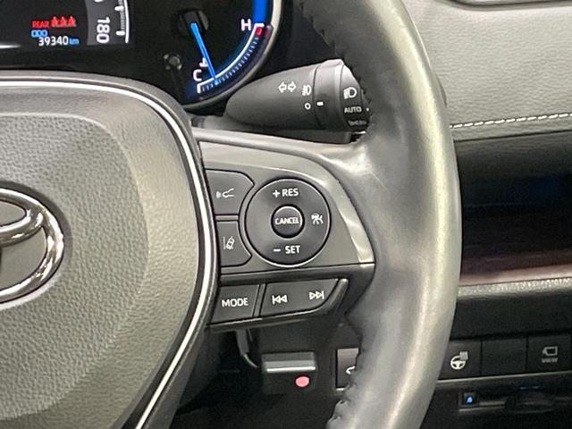 ＲＡＶ４ ハイブリッドＧ　純正９型ＤＡ　全周囲カメラ　衝突軽減装置　レーダークルーズ　ブラインドスポットモニター　シートヒーター　シートベンチレーション　パワーシート　電動リアゲート　ステアリングヒーター　ドラレコ　ＥＴＣ（26枚目）