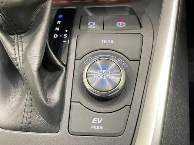 ＲＡＶ４ ハイブリッドＧ　純正９型ＤＡ　全周囲カメラ　衝突軽減装置　レーダークルーズ　ブラインドスポットモニター　シートヒーター　シートベンチレーション　パワーシート　電動リアゲート　ステアリングヒーター　ドラレコ　ＥＴＣ（33枚目）