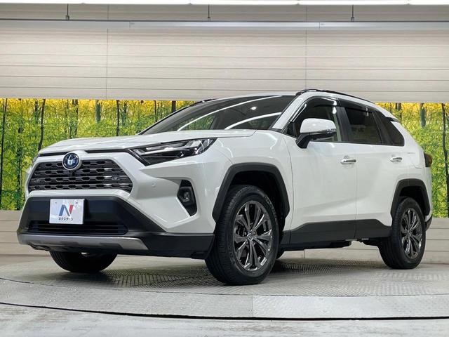 ＲＡＶ４ ハイブリッドＧ　純正９型ＤＡ　全周囲カメラ　衝突軽減装置　レーダークルーズ　ブラインドスポットモニター　シートヒーター　シートベンチレーション　パワーシート　電動リアゲート　ステアリングヒーター　ドラレコ　ＥＴＣ（63枚目）