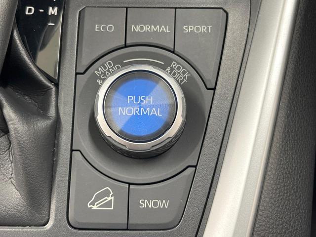 ＲＡＶ４ Ｇ　Ｚパッケージ　純正９型ナビ　衝突軽減装置　レーダークルーズ　ブラインドスポットモニター　パワーシート　電動リアゲート　ＥＴＣ　Ｂｌｕｅｔｏｏｔｈ　シートヒーター　ステアリングヒーター　バックカメラ　ＬＥＤヘッド（53枚目）