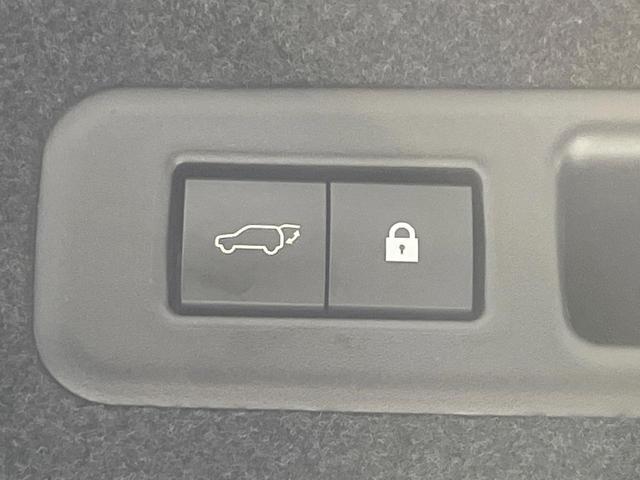 RX RX450h バージョンL サンルーフ 純正12.3型ナビ 全周囲カメラ 三眼LED 衝突軽減 レーダークルーズ 禁煙車 電動リアゲート レザーシート シートエアコン ドラレコ コーナーセンサー スマートキー LEDヘッド(79枚目)