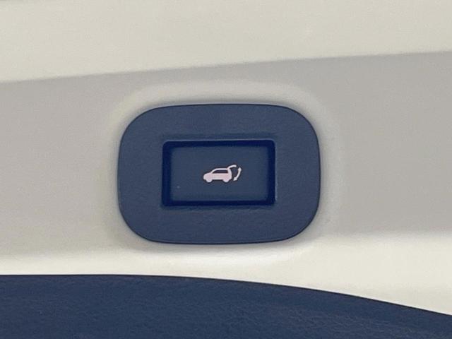 エクストレイル ２０Ｘ　純正ナビ　全周囲カメラ　衝突被害軽減システム　レーダークルーズ　禁煙車　電動リアゲート　コーナーセンサー　スマートキー　ＬＥＤヘッド　ビルトインＥＴＣ　純正１８インチアルミ　電動格納ミラー（65枚目）