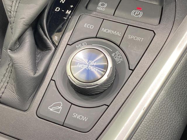 RAV4 アドベンチャー オフロードパッケージII 純正10型DA 全周囲カメラ 衝突被害軽減システム レーダークルーズ 禁煙車 前席シートエアコン パワーシート コーナーセンサー スマートキー LEDヘッド ETC2.0 純正18インチアルミ(33枚目)