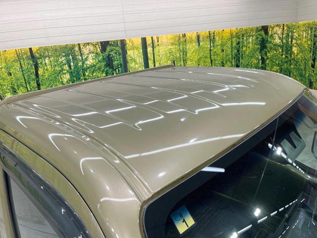 ハイゼットトラック スタンダード　ＭＴ車　衝突被害軽減システム　禁煙車　コーナーセンサー　オートライト　アイドリングストップ　横滑り防止装置　盗難防止システム（40枚目）