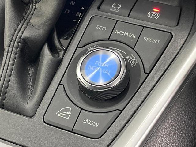ＲＡＶ４ アドベンチャー　オフロードパッケージ　４ＷＤ　純正９型ＤＡ　バックカメラ　衝突被害軽減システム　レーダークルーズ　クリアランスソナー　電動リアゲート　レザー調シート　パワーシート　ドラレコ　スマートキー　ＬＥＤヘッド　ＥＴＣ（32枚目）