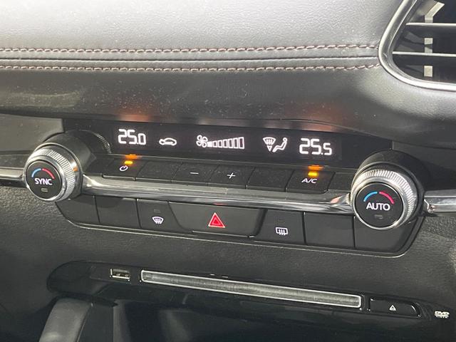 MAZDA3ファストバック 15Sツーリング MT車 純正SDナビ 全周囲カメラ 衝突被害軽減システム レーダークルーズ 禁煙車 コーナーセンサー スマートキー LEDヘッド ビルトインETC オートハイビーム 車線逸脱警報 オートライト(29枚目)