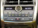 NX300h Iパッケージ 純正ナビ 衝突軽減装置 LEDヘッド レーダークルーズ ETC ドラレコ バックカメラ Bluetooth シートヒーター パワーシート スマートキー プッシュスタート オートエアコン(35枚目)