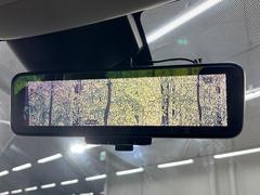 �ڥ���ƥꥸ����ȥ롼��ߥ顼�۸��ʤ��礭�ʲ�ʪ��Ʊ��ԤǸ�������ǧ���Ť餤���Ǥ�¿�������餬���Ƥ�����ξ�����α�����롼��ߥ顼���ɽ�������ꥢ�ʻ볦�Ǿ����γ�ǧ����ǽ�Ǥ��� 5